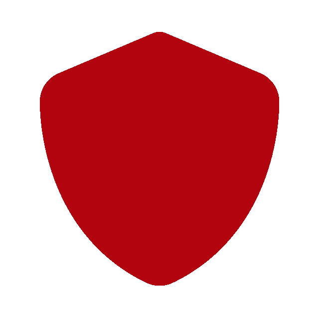 shield-solid-full shield solid full